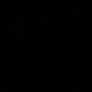 Meet your Posher, Zach